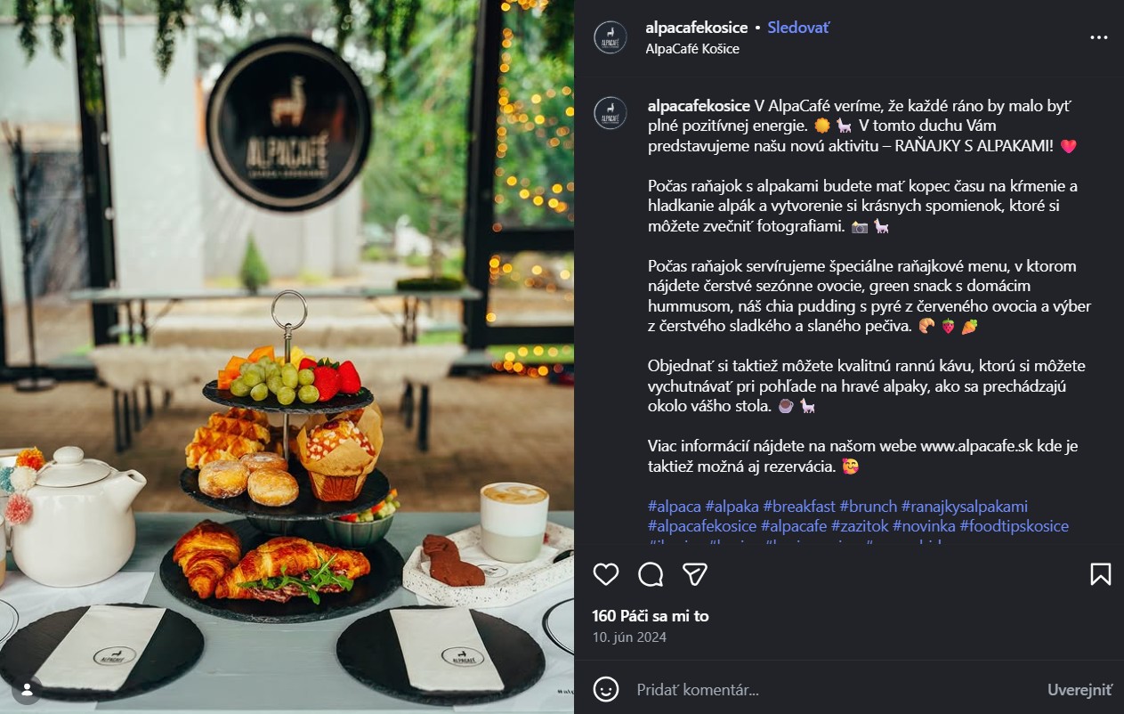 AlpaCafé v Košiciach Zdroj FOTO: instagram @alpacafekosice